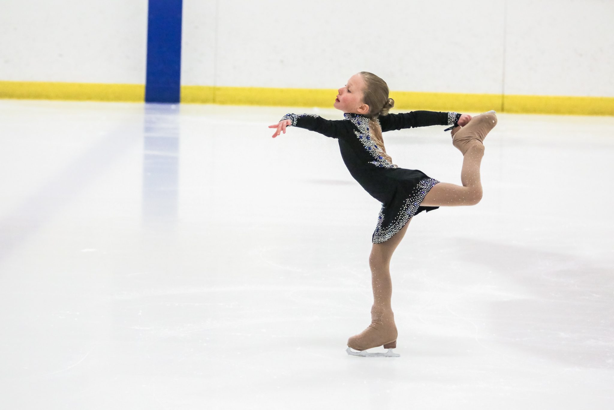 Skating Ice Arena